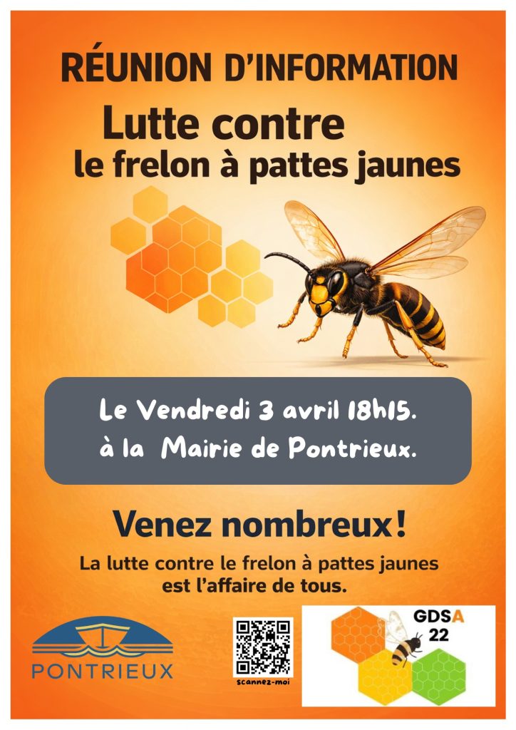Réunion d&rsquo;information sur la lutte contre le frelon asiatique à pattes jaunes